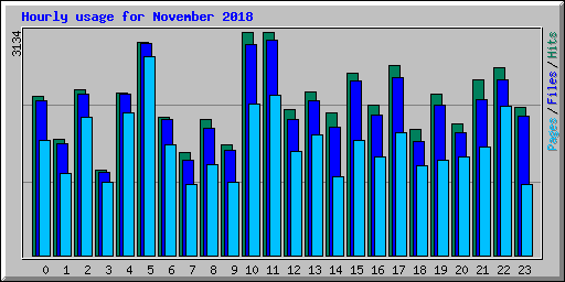 Hourly usage for November 2018